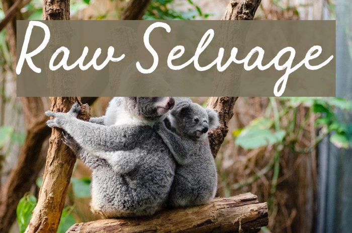 Raw Selvage Font examples