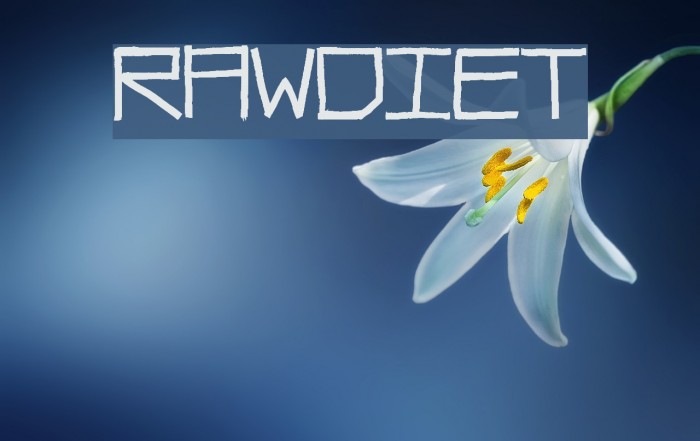 RawDiet Example 3