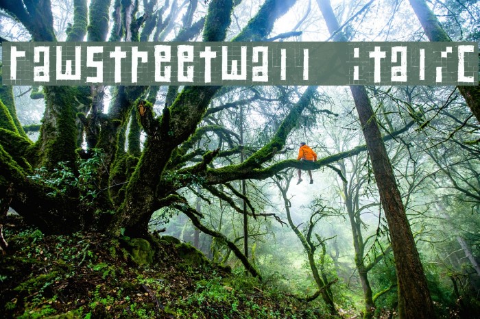 RawStreetWall Italic Font examples