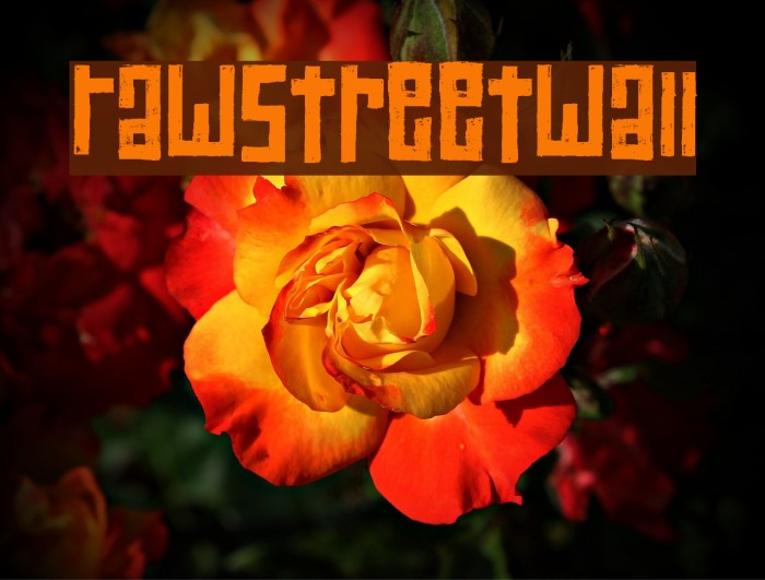 RawStreetWall Font examples