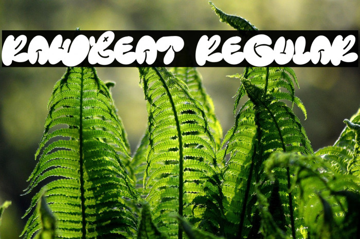 Rawbeat Regular Example 1