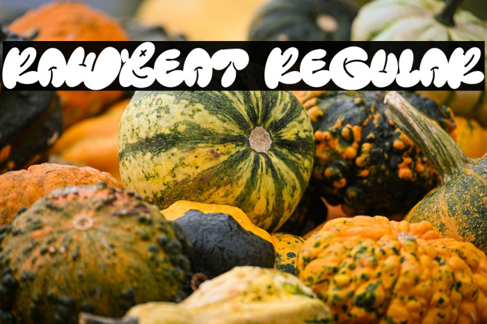 Rawbeat Regular Example 3