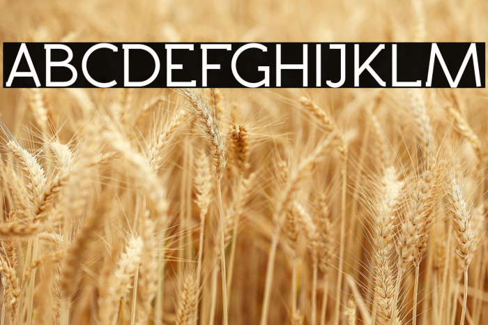 Rawengulk Bold Example 2