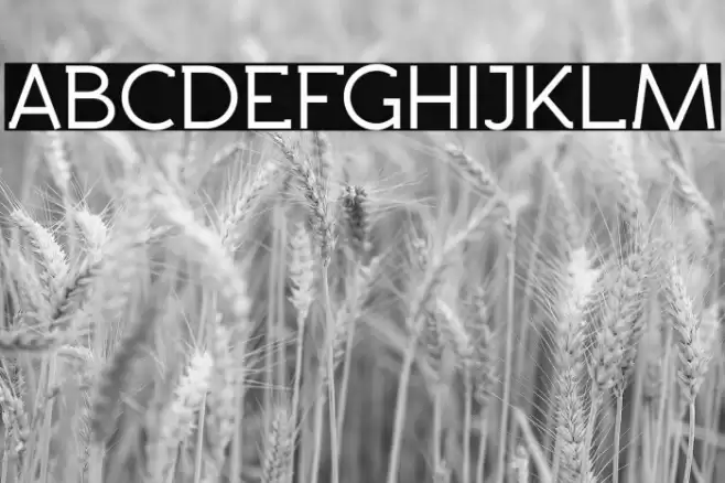 Rawengulk Bold Font examples