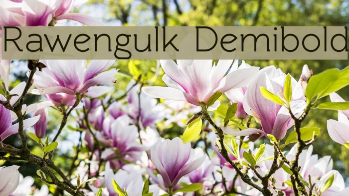 Rawengulk Demibold Font examples