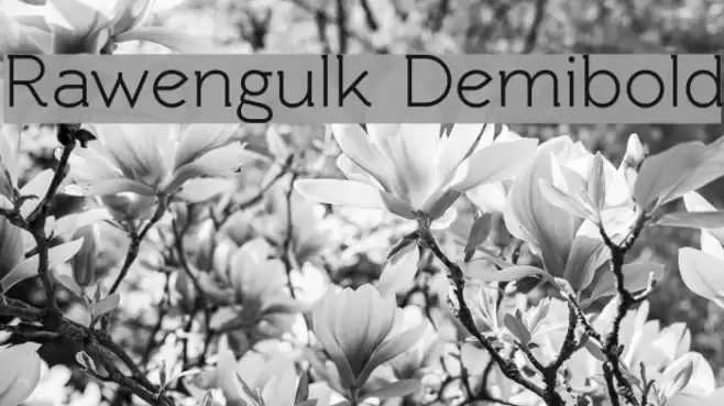 Rawengulk Demibold Font examples
