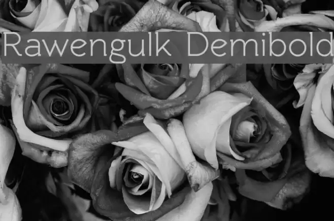 Rawengulk Demibold Font examples