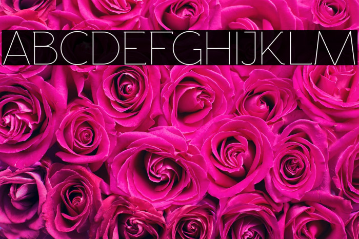 Rawengulk Light Example 2