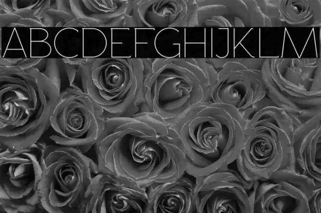 Rawengulk Light Font examples