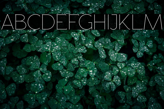 Rawengulk Light Example 3