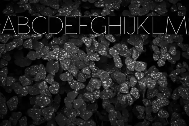 Rawengulk Light Font examples