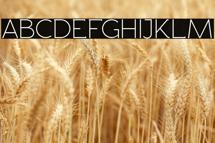 Rawengulk Petitecaps Example 2