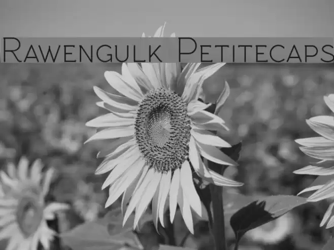 Rawengulk Petitecaps Font examples