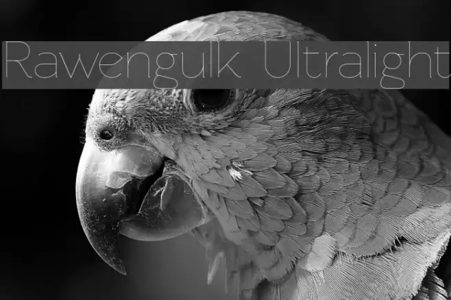 Rawengulk Ultralight Font examples