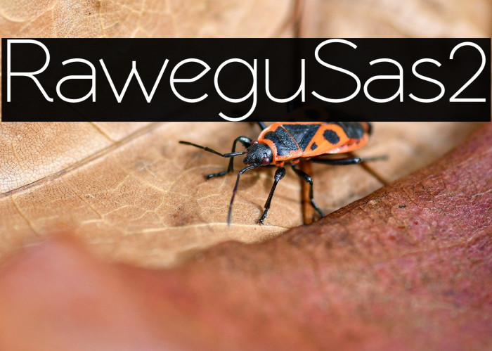 RawengulkSans2 Example 1