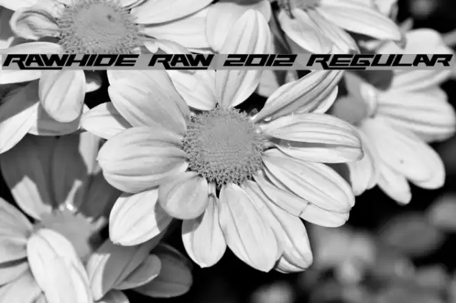Rawhide Raw 2012 Regular Font examples