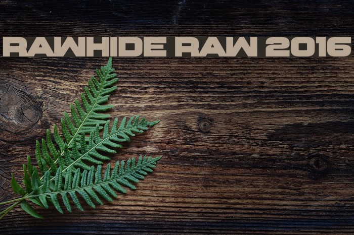 Rawhide Raw 2016 Font examples