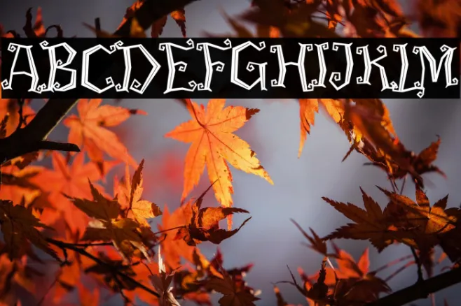 Rawk Demo Example 2