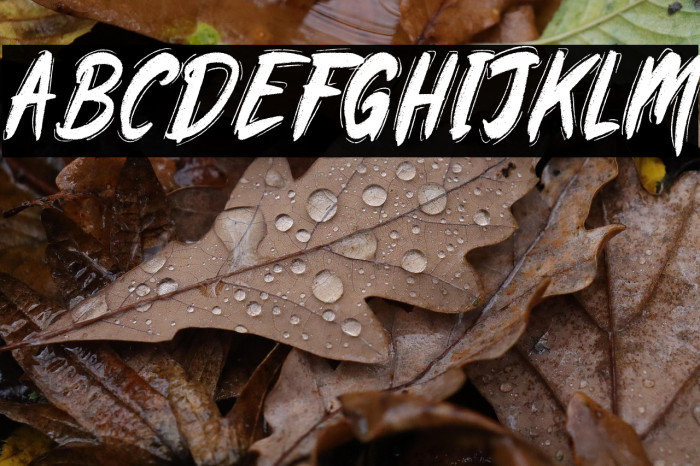 Rawkin pickles demo Example 1