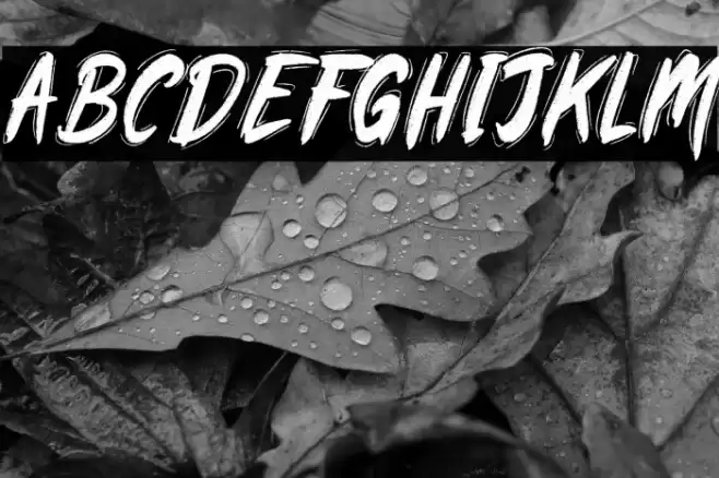 Rawkin pickles demo Font examples