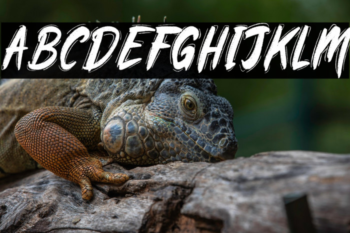 Rawkin pickles demo Example 2