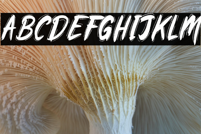 Rawkinpicklesdemo Example 3