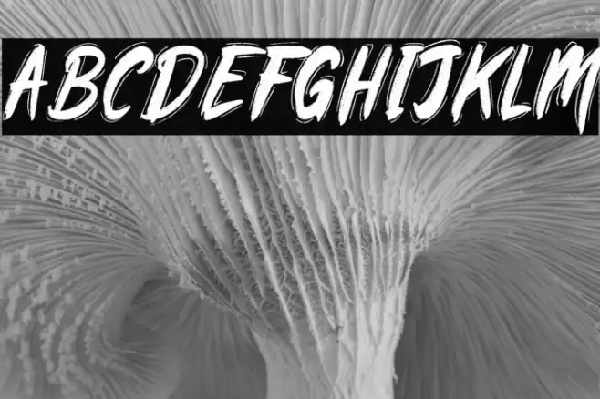 Rawkinpicklesdemo Font examples