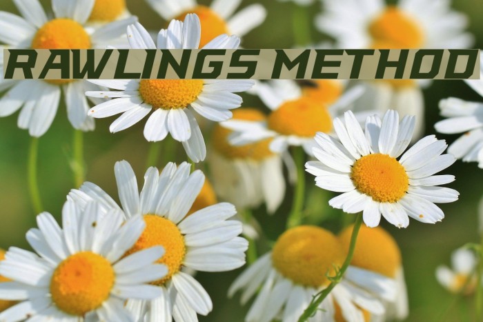 Rawlings Method Font examples
