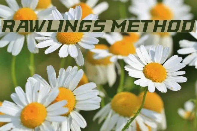 Rawlings Method Example 1