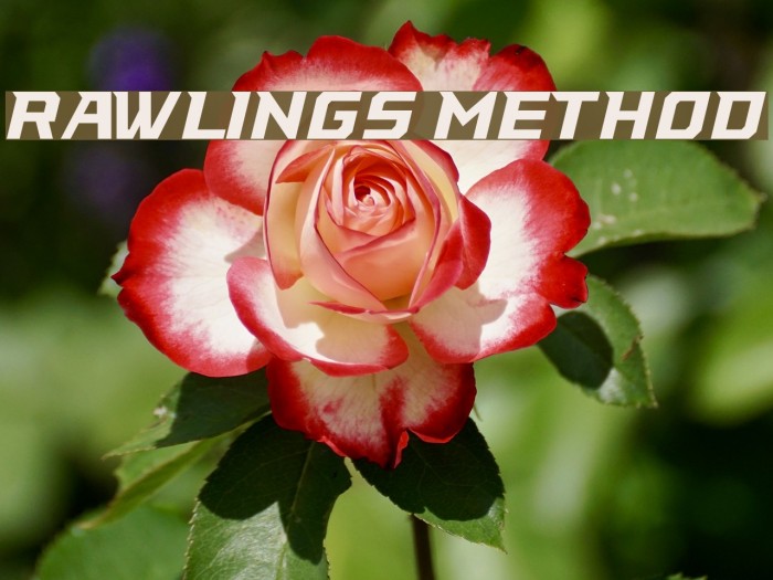 Rawlings Method Font examples