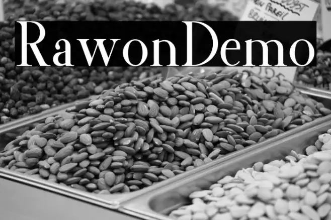 RawonDemo Font examples
