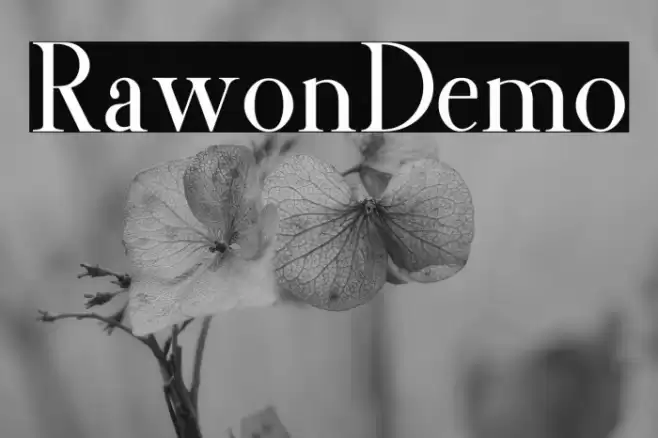 RawonDemo Font examples