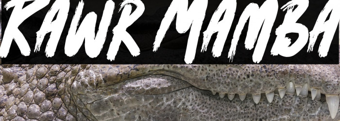 Rawr Mamba Example 1