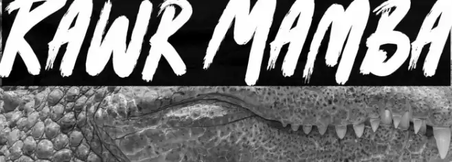 Rawr Mamba Schriftart examples