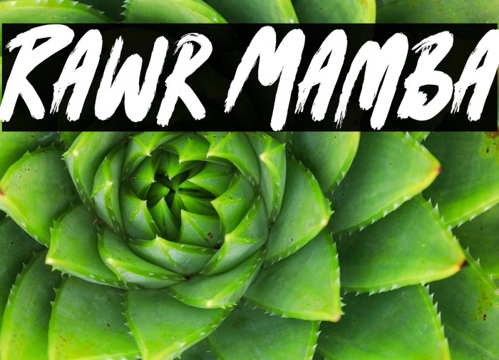 Rawr Mamba Example 2