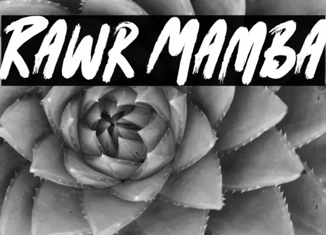 Rawr Mamba Schriftart examples