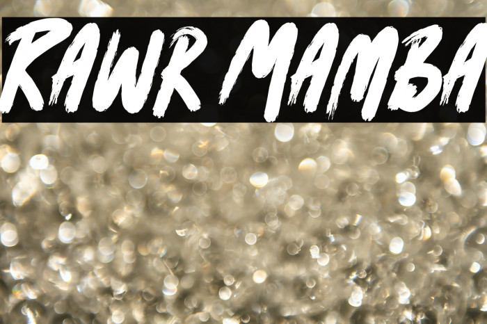 Rawr Mamba Example 3