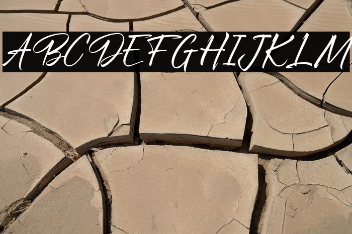 RawriltingFREE Example 3