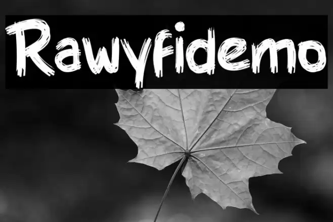 Rawyfidemo Font examples