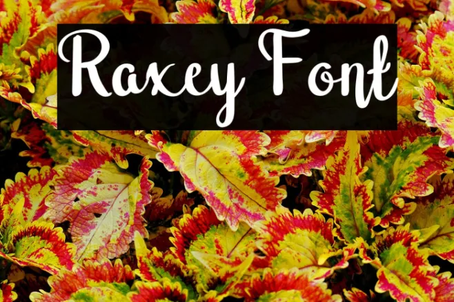 Raxey Example 1