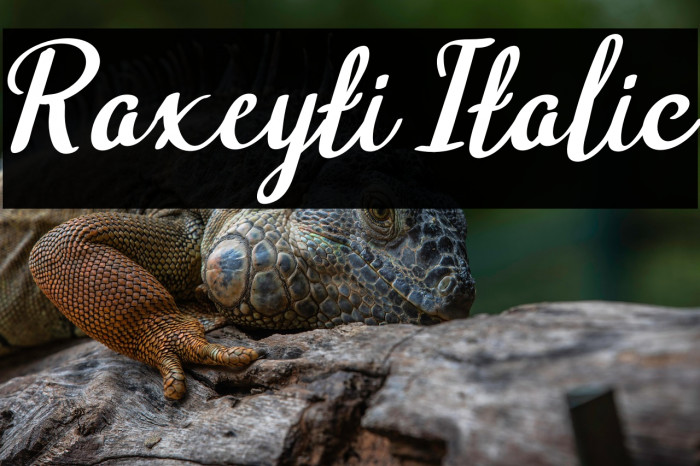 Raxeyti Italic Example 3