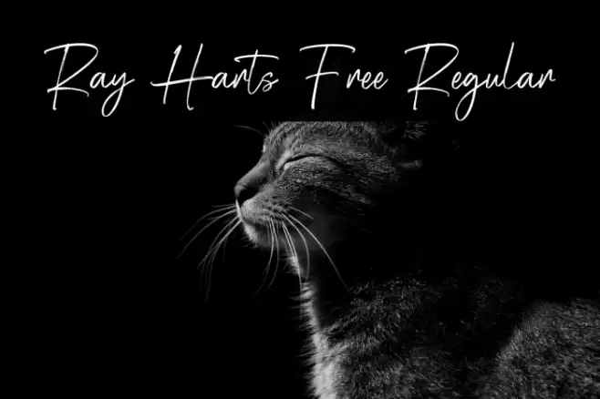 Ray Harts Free Regular Font examples