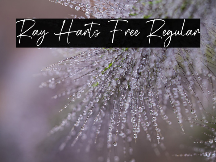 Ray Harts Free Regular Example 3