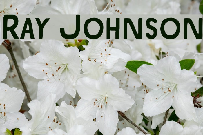 Ray Johnson Font examples