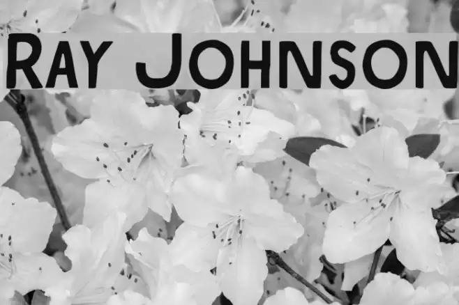 Ray Johnson Fonte examples