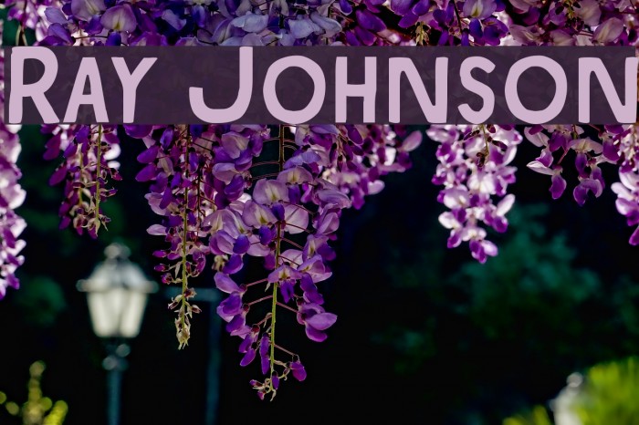 Ray Johnson Font examples