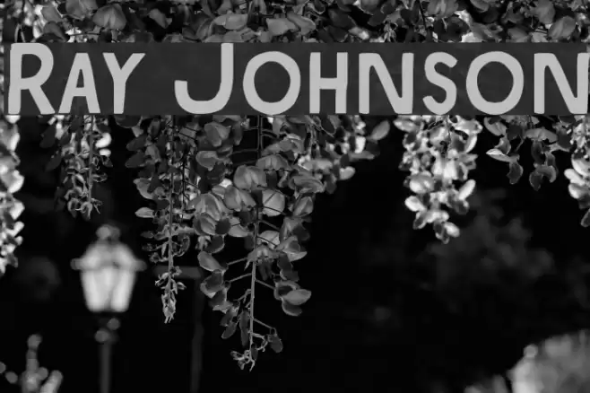 Ray Johnson Fonte examples