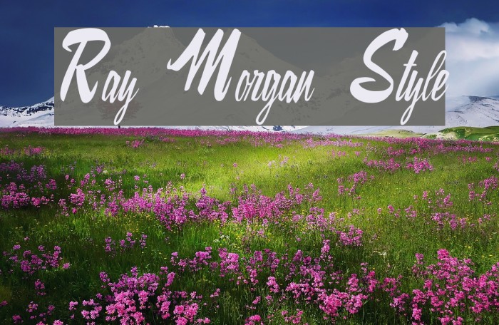 Ray Morgan Style Font examples
