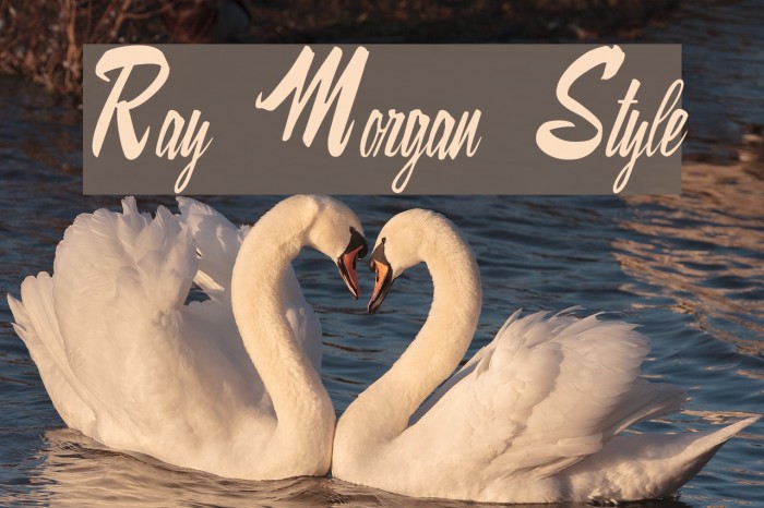 Ray Morgan Style Font examples