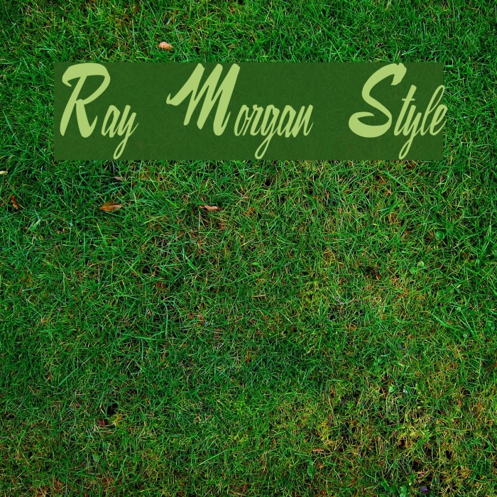 Ray Morgan Style Font examples
